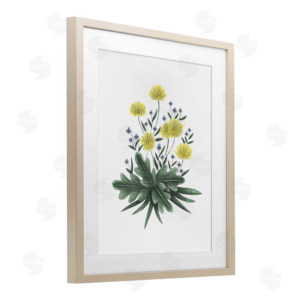 Cecilia Battaini Dandelion Flower Illustration Brown Framed Print Under Glass Wall Art