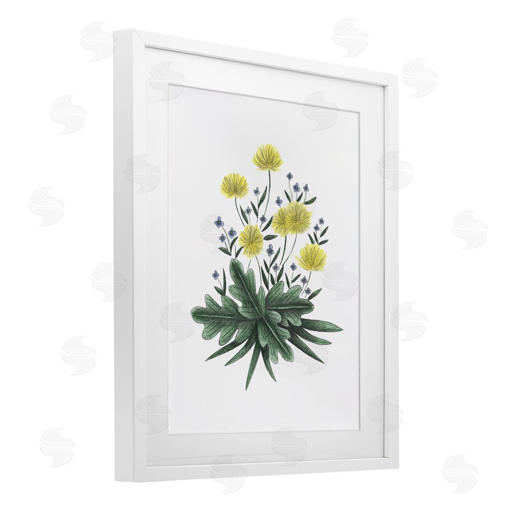 Cecilia Battaini Dandelion Flower Illustration White Framed Print Under Glass Wall Art