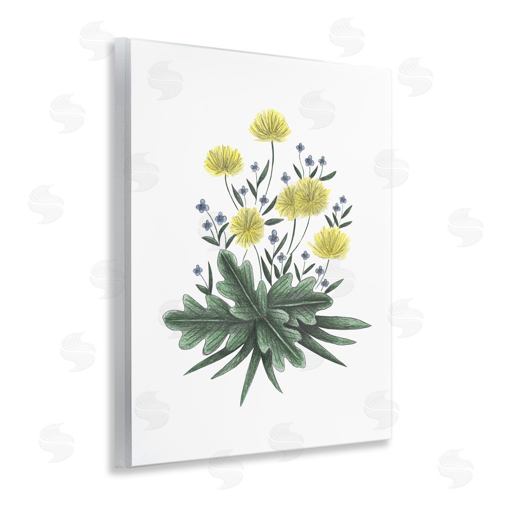 Cecilia Battaini Dandelion Flower Illustration Wooden Wall Plaque Art Print