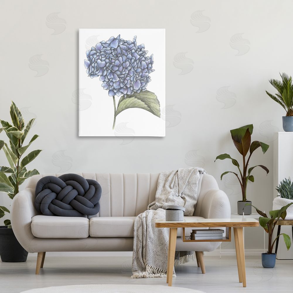 Cecilia Battaini Hydrangea Sketch Blossom Stretched Canvas Wall Art Print in Room