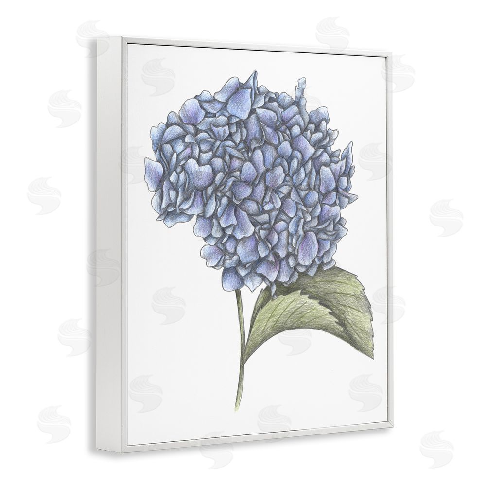 Cecilia Battaini Hydrangea Sketch Blossom White Framed Giclee Print Wall Art