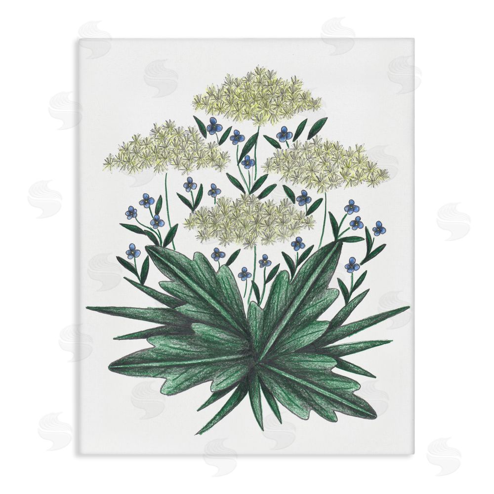 Cecilia Battaini New Roots Vintage Sketch Stretched Canvas Wall Art Print