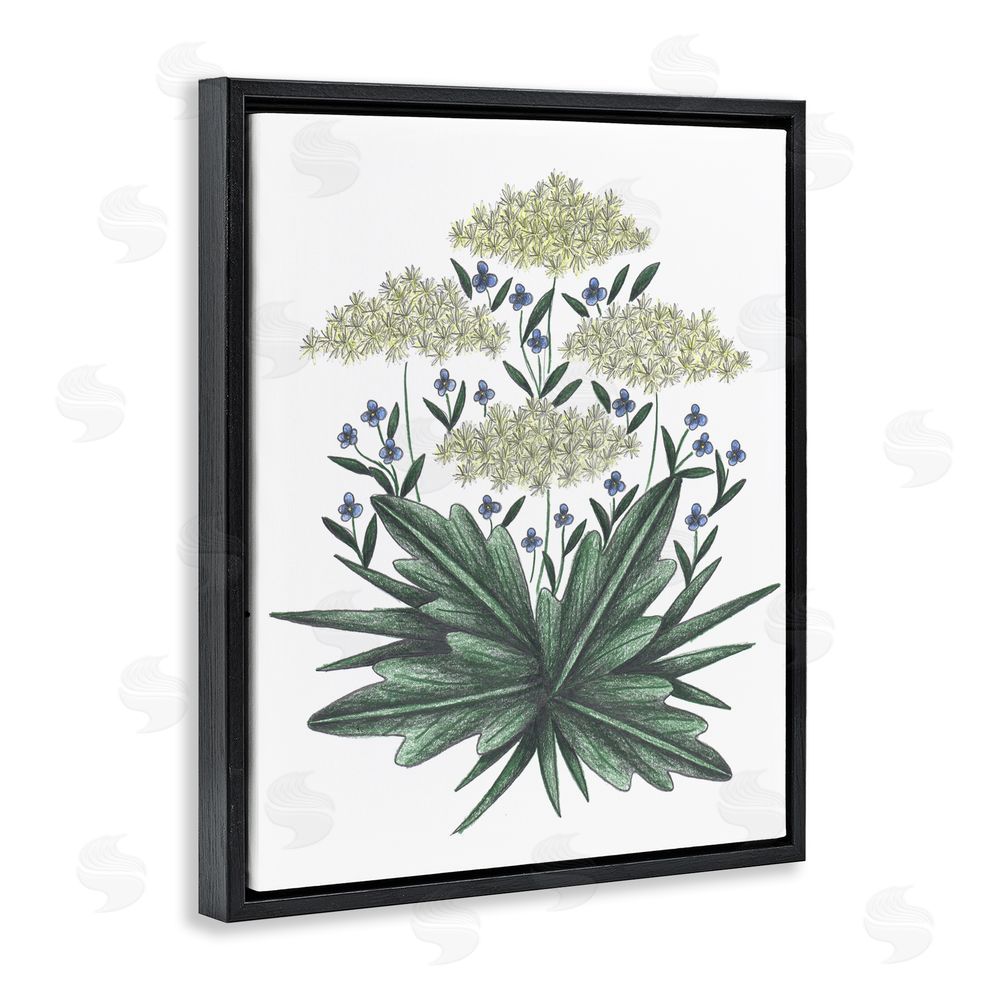 Cecilia Battaini New Roots Vintage Sketch Black Floating Frame Canvas Wall Art Print
