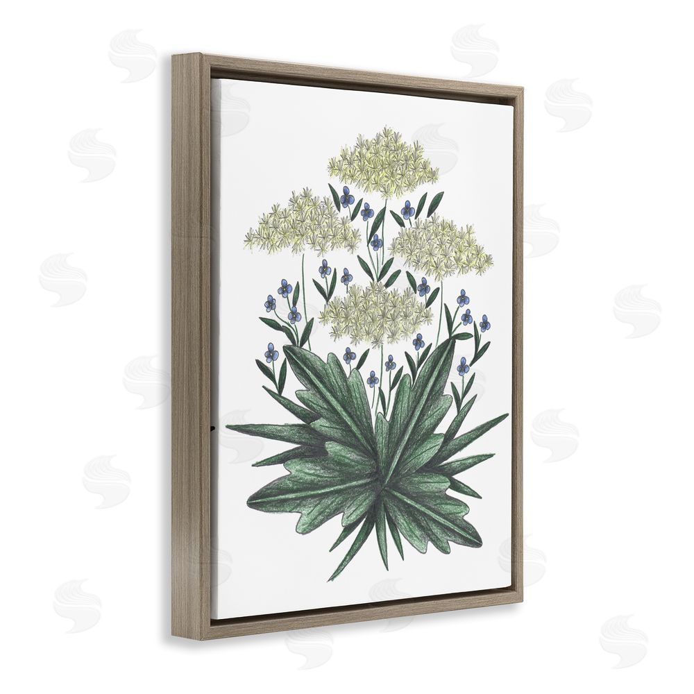 Cecilia Battaini New Roots Vintage Sketch Brown Floating Frame Canvas Wall Art Print