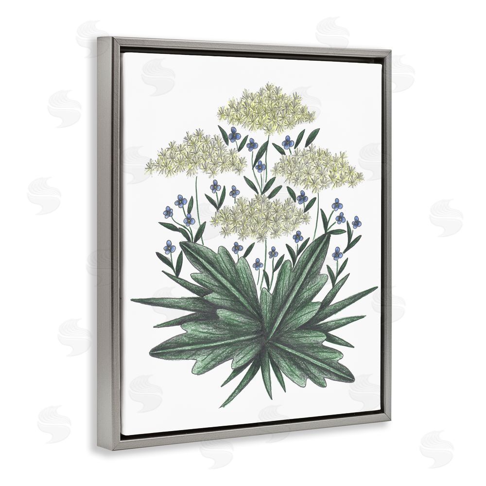 Cecilia Battaini New Roots Vintage Sketch Gray Floating Frame Canvas Wall Art Print