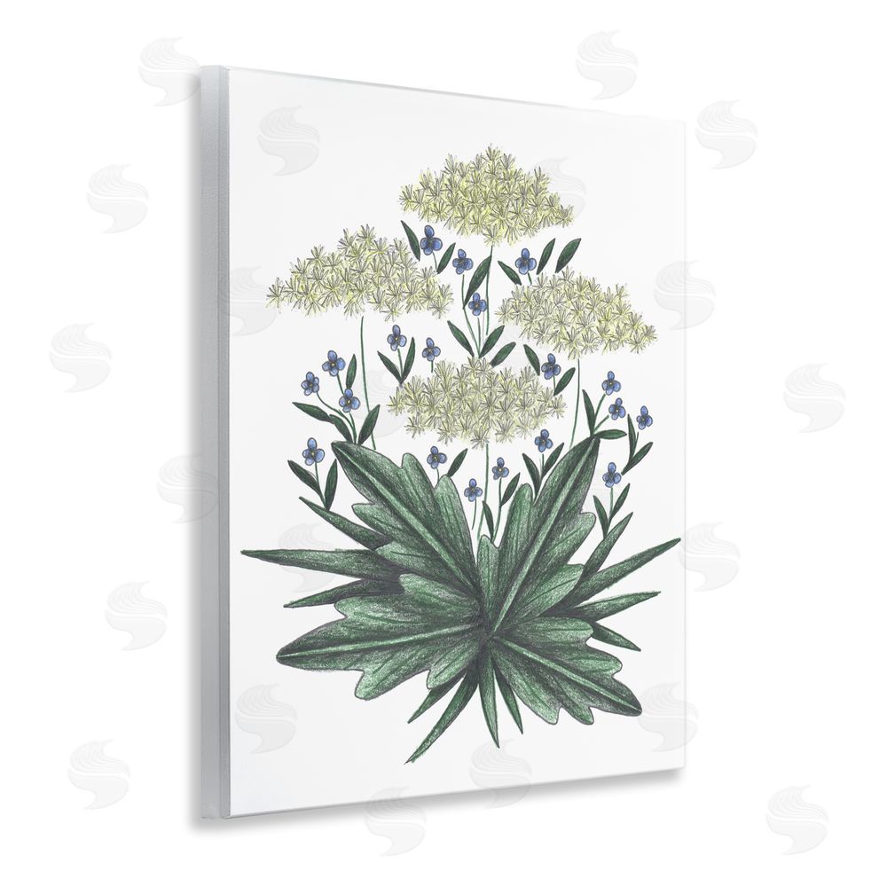 Cecilia Battaini New Roots Vintage Sketch Wooden Wall Plaque Art Print