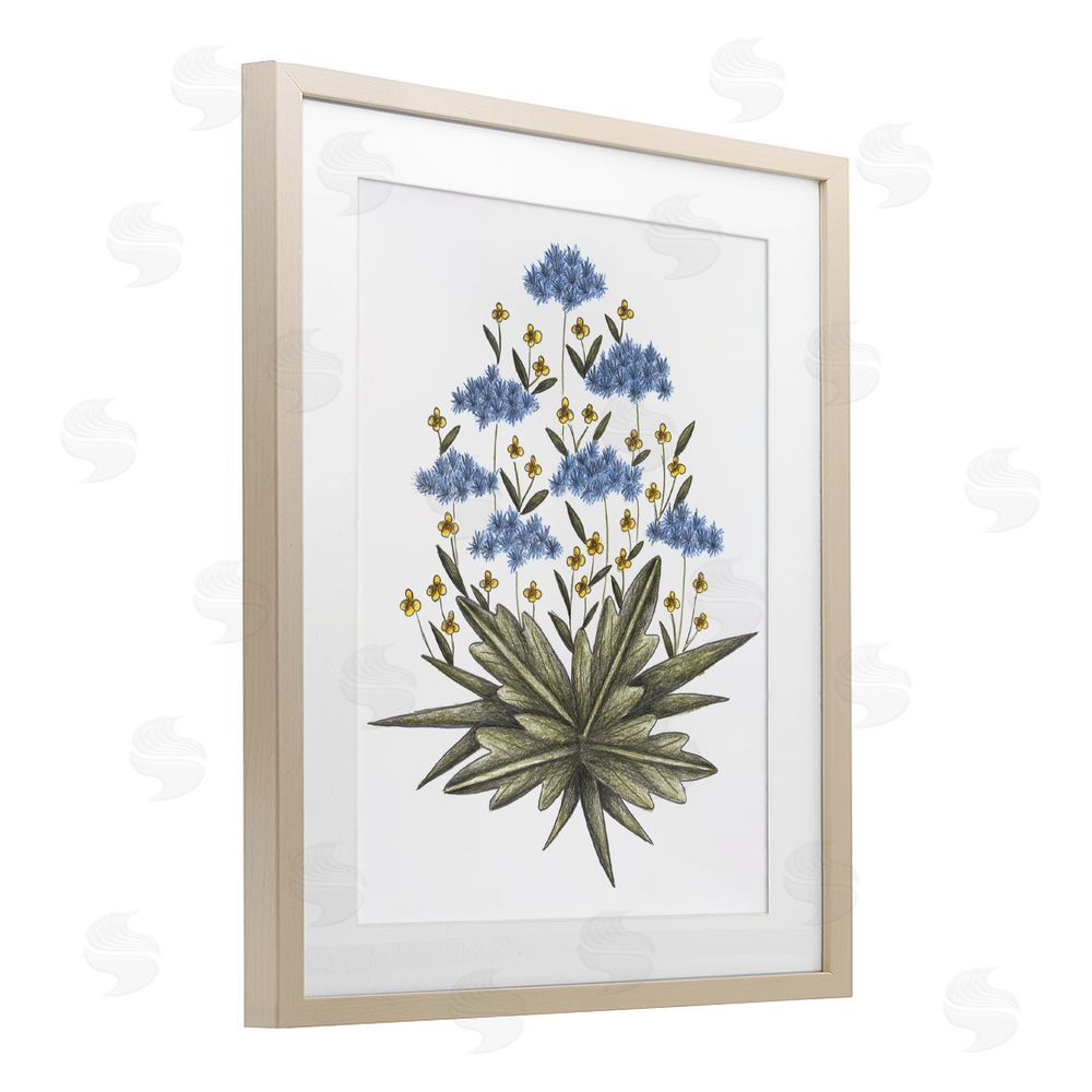 Cecilia Battaini Where Wild Flowers Bloom Brown Framed Print Under Glass Wall Art