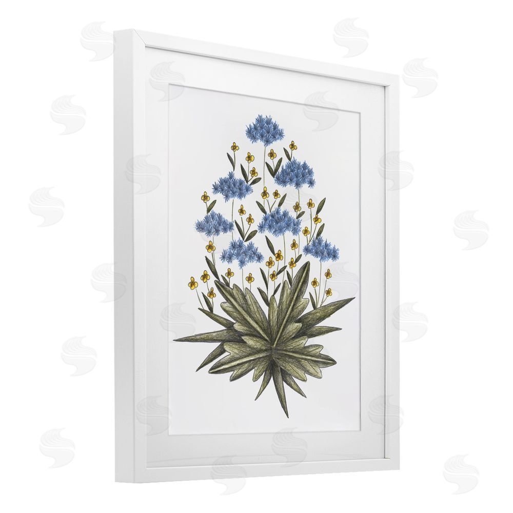 Cecilia Battaini Where Wild Flowers Bloom White Framed Print Under Glass Wall Art