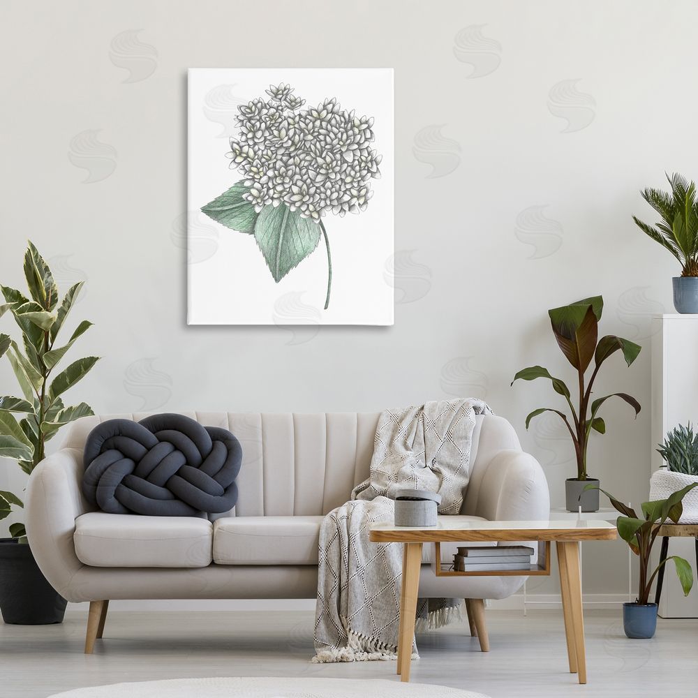Cecilia Battaini White Hydrangea Sketch Blossom Stretched Canvas Wall Art Print in Room