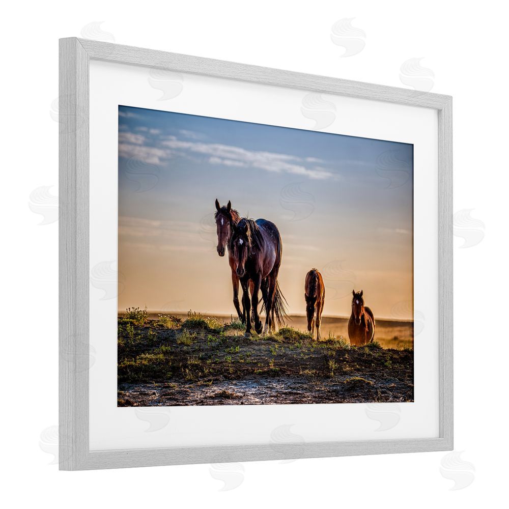 Tim West Horses Coming Home Gray Framed Print Under Glass Wall Art
