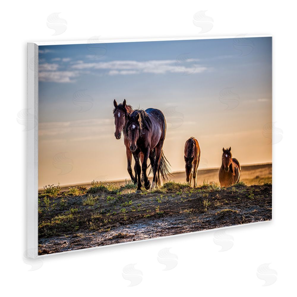 Tim West Horses Coming Home Wooden Wall Plaque Art Print