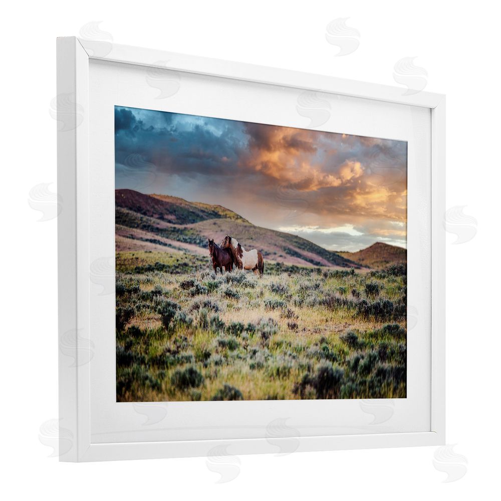 Tim West Stay Close Horses White Framed Print Under Glass Wall Art