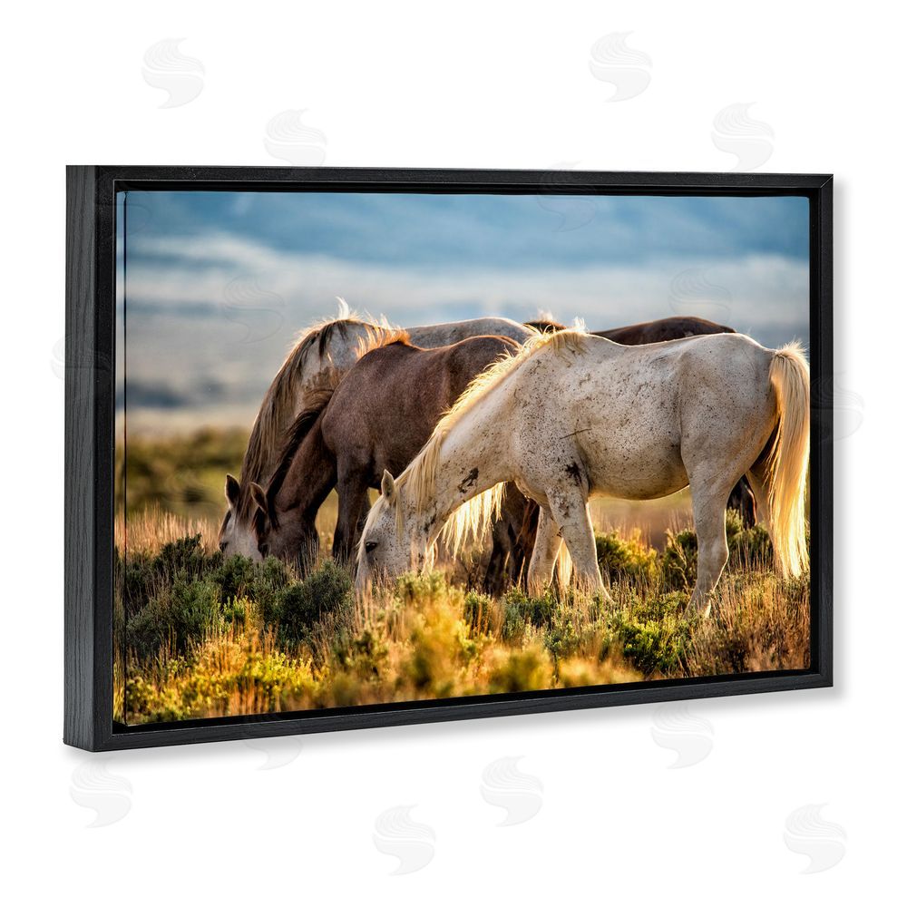 Tim West Equine Evening Graze Black Floating Frame Canvas Wall Art Print