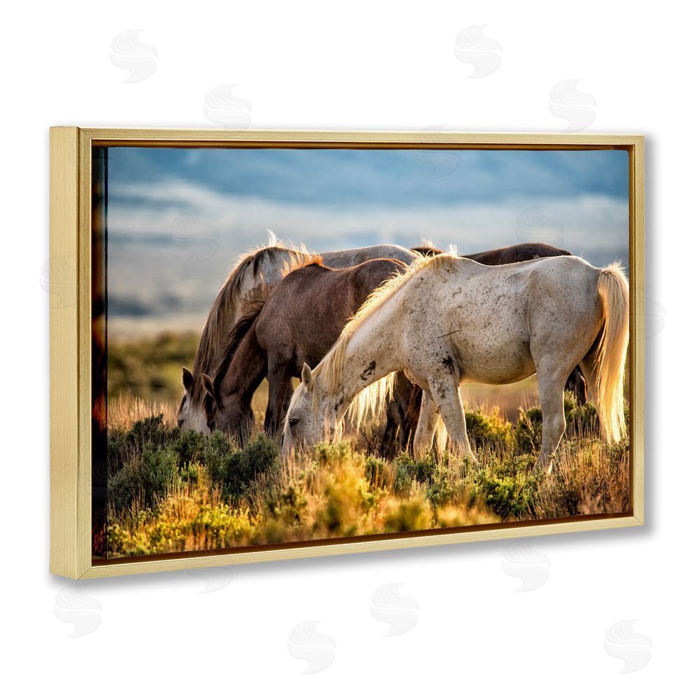 Tim West Equine Evening Graze Gold Floating Frame Canvas Wall Art Print