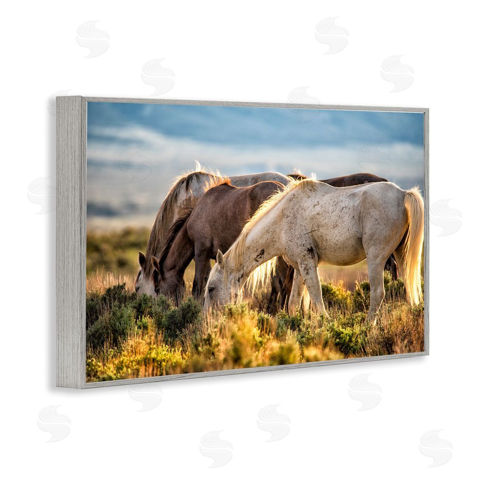Tim West Equine Evening Graze Gray Framed Giclee Wall Art Print