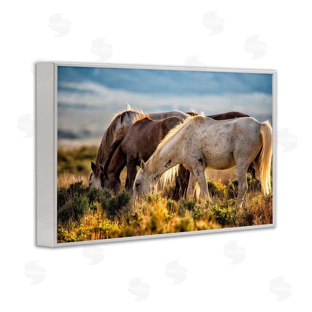 Tim West Equine Evening Graze White Framed Giclee Wall Art Print