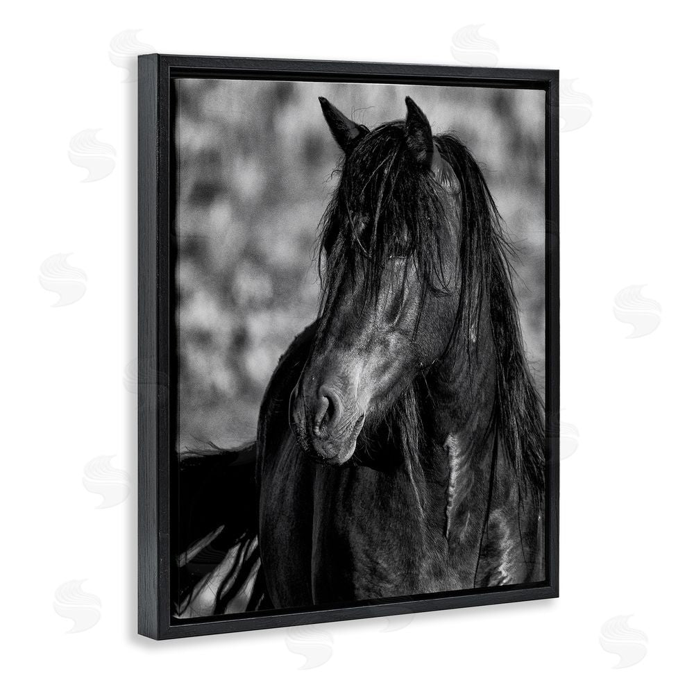 Tim West Beauty In Black Black Floating Frame Canvas Wall Art Print