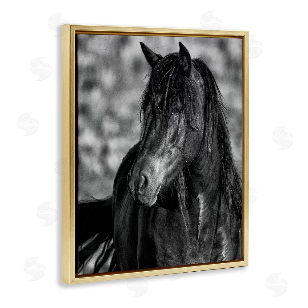 Tim West Beauty In Black Gold Floating Frame Canvas Wall Art Print