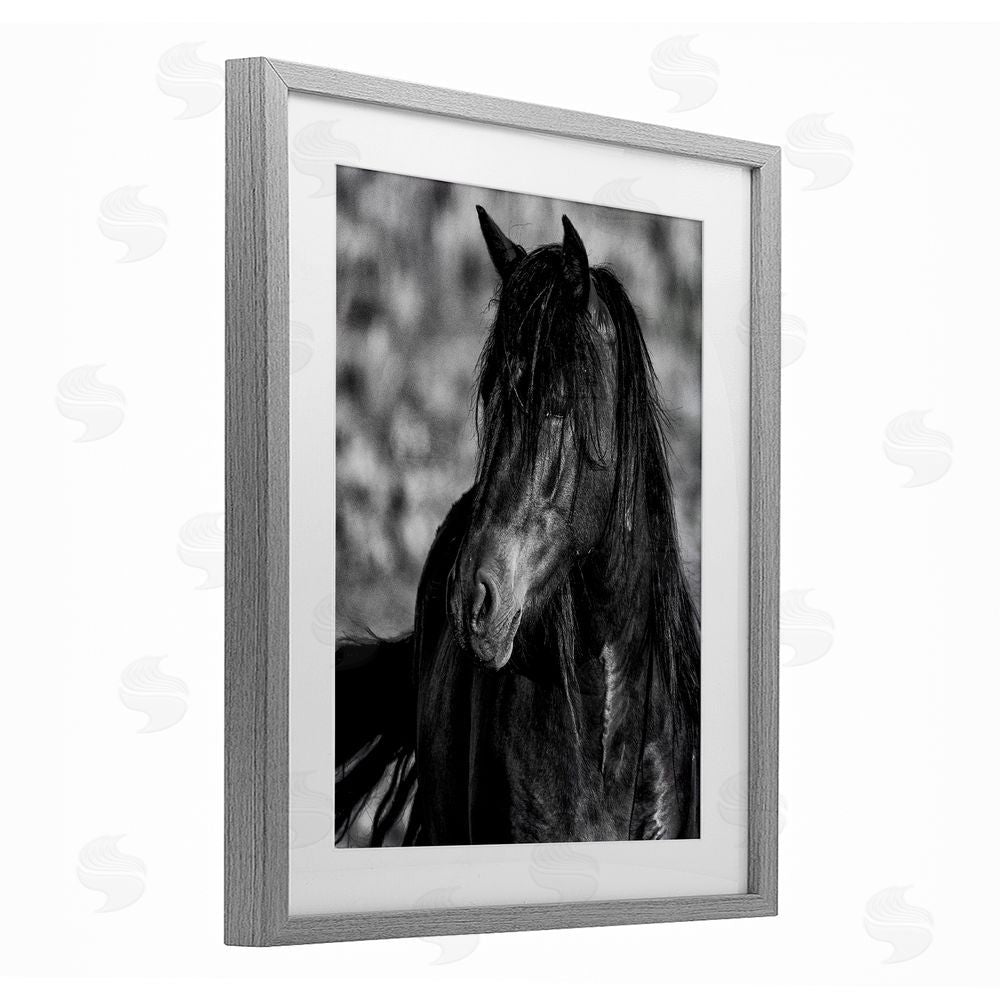 Tim West Beauty In Black Gray Framed Print Under Glass Wall Art