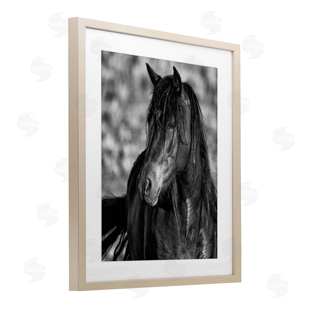 Tim West Beauty In Black Brown Framed Print Under Glass Wall Art