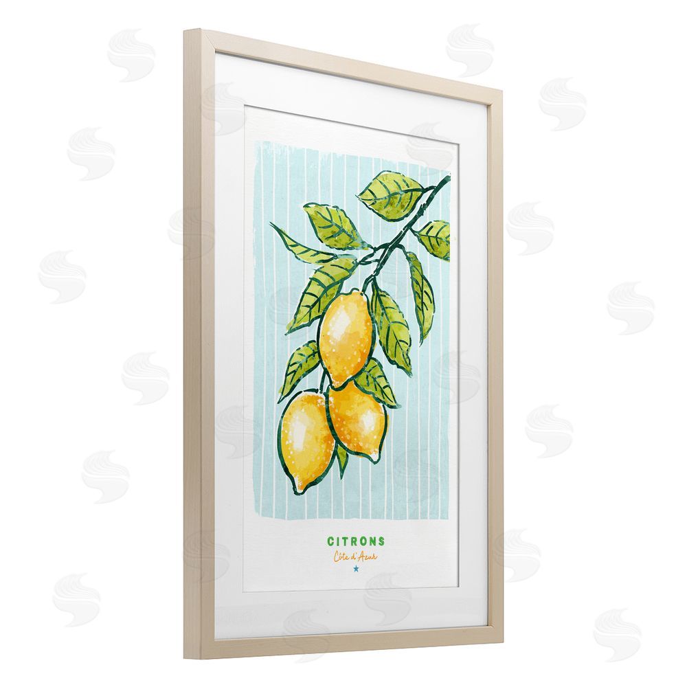 Chad Barrett Modern Bistro Lemons Birch Framed Print Under Glass Wall Art