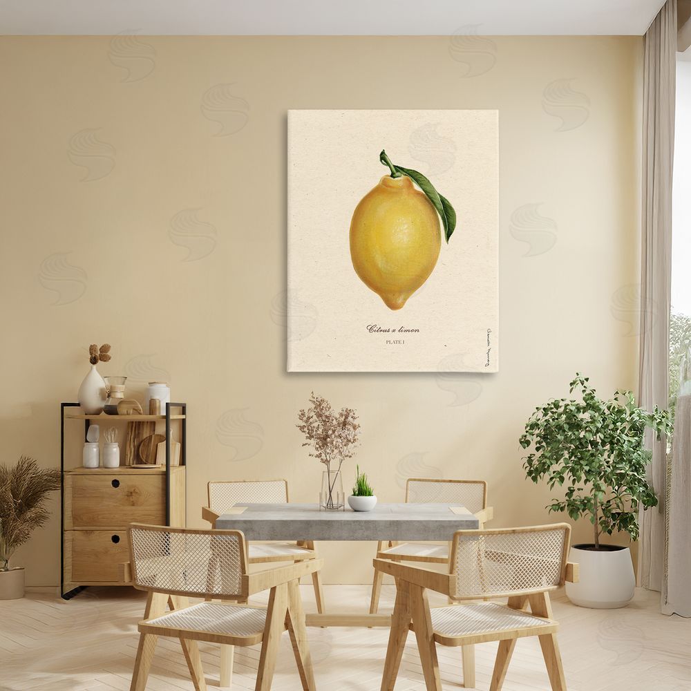 Danielle Murray Lemon Fruit Portrait Stretched Canvas Wall Art in Room