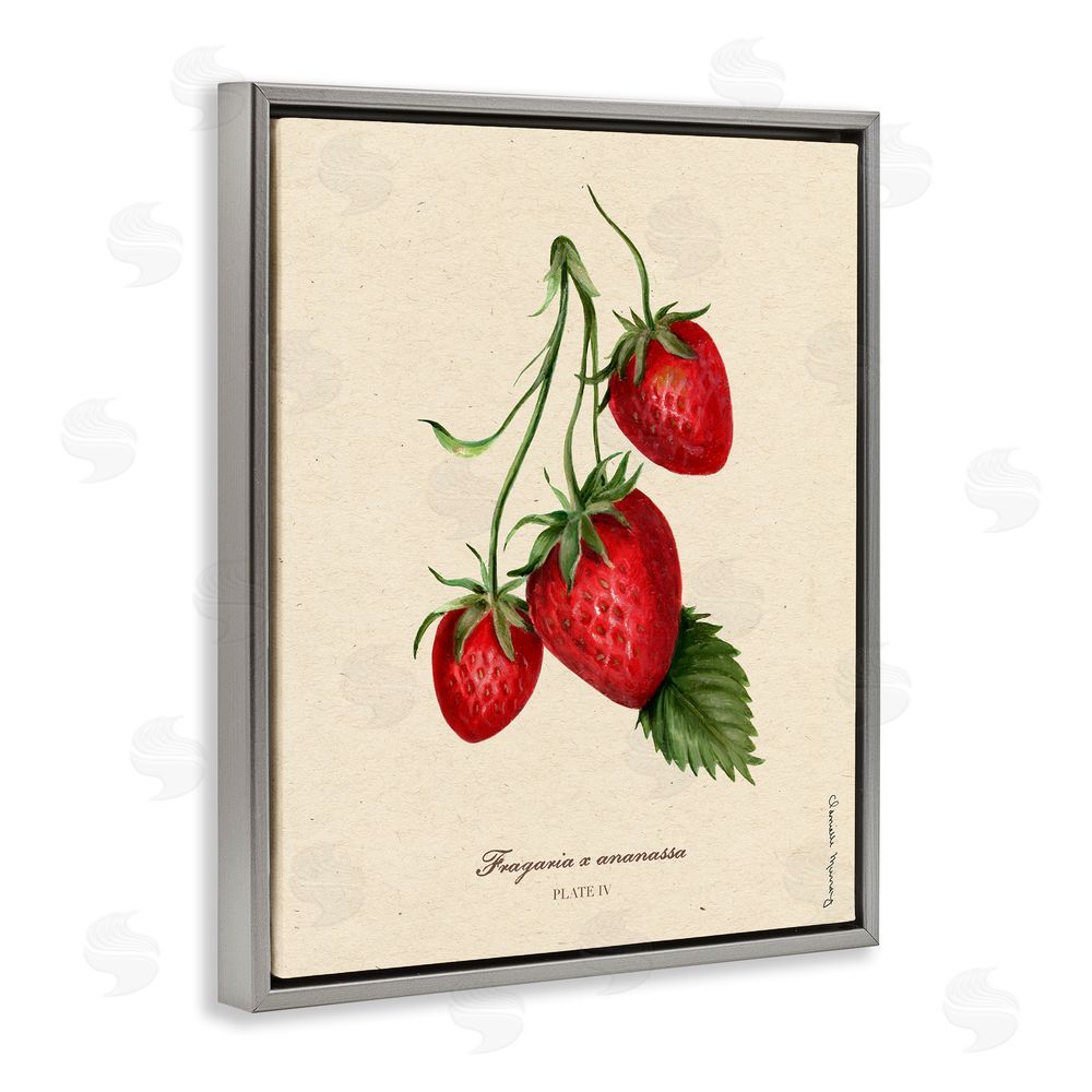Danielle Murray Strawberry Fruit Portrait Gray Floating Frame Canvas Wall Art Print