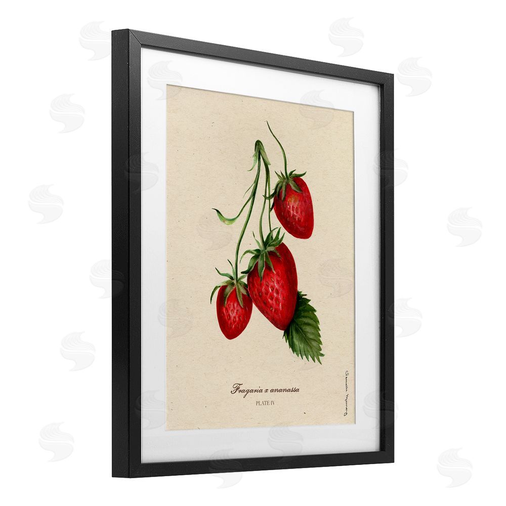 Danielle Murray Strawberry Fruit Portrait Black Framed Print Under Glass Wall Art