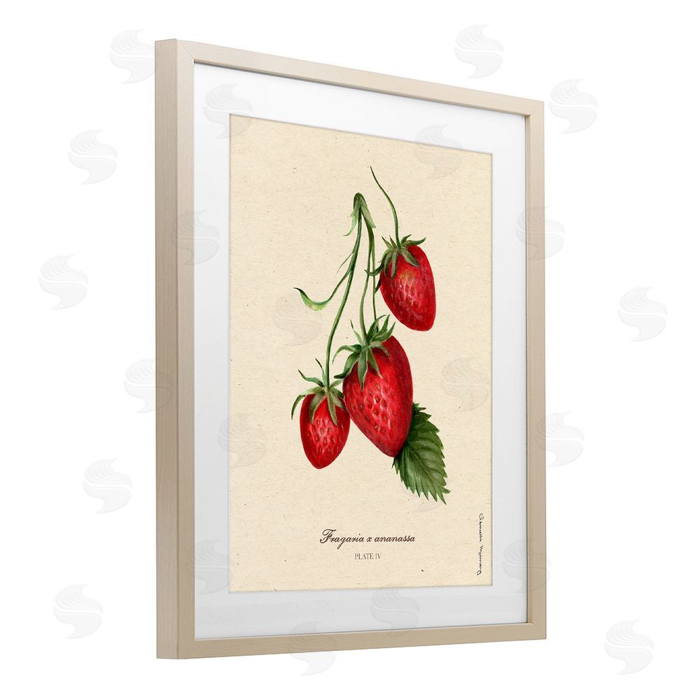 Danielle Murray Strawberry Fruit Portrait Birch Framed Print Under Glass Wall Art