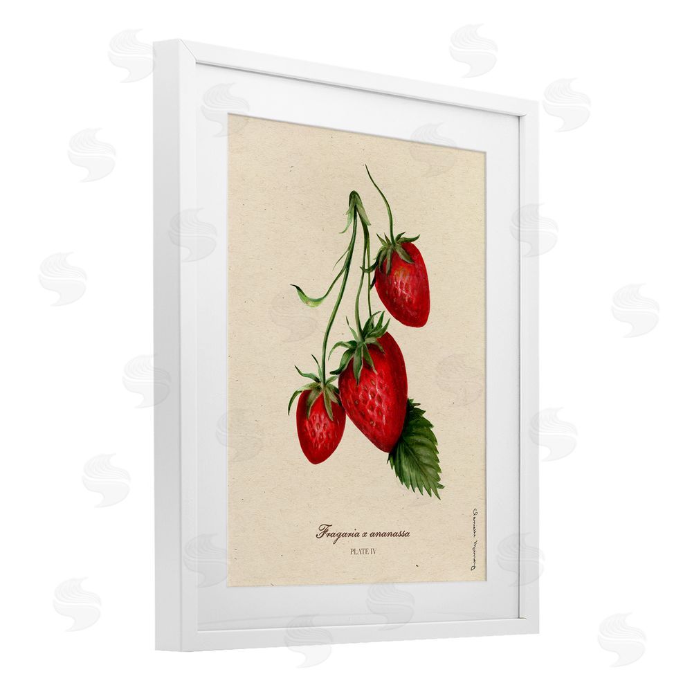Danielle Murray Strawberry Fruit Portrait White Framed Print Under Glass Wall Art