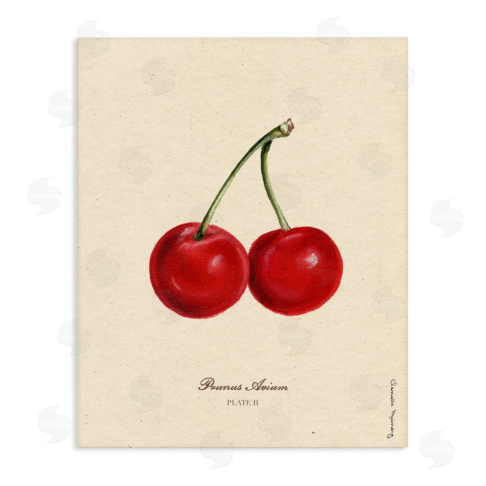 Danielle Murray Cherry Fruit Portrait Stretched Canvas Wall Art