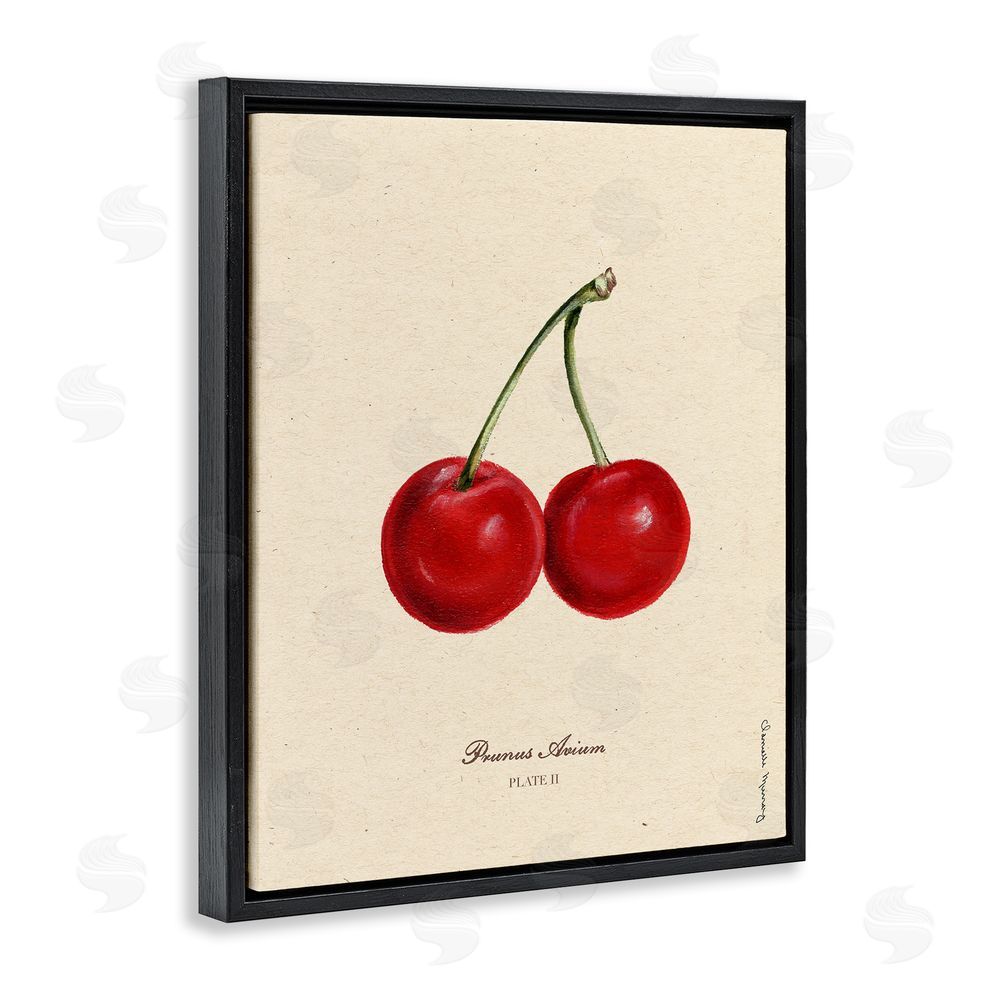 Danielle Murray Cherry Fruit Portrait Black Floating Frame Canvas Wall Art Print