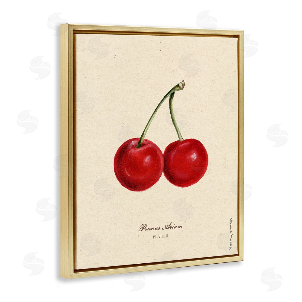 Danielle Murray Cherry Fruit Portrait Gold Floating Frame Canvas Wall Art Print