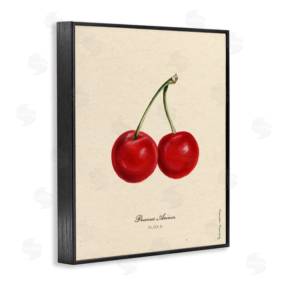 Danielle Murray Cherry Fruit Portrait Black Framed Giclee Wall Art Print