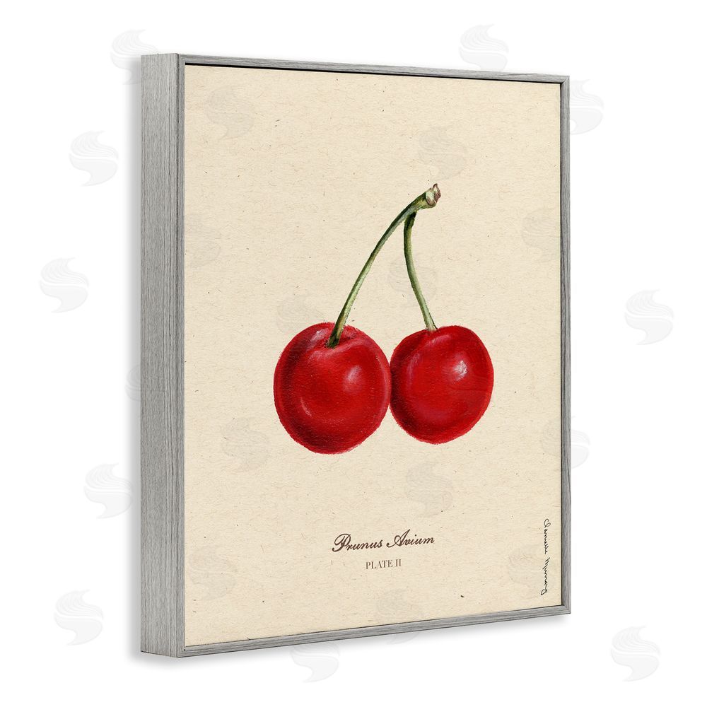 Danielle Murray Cherry Fruit Portrait Gray Framed Giclee Wall Art Print