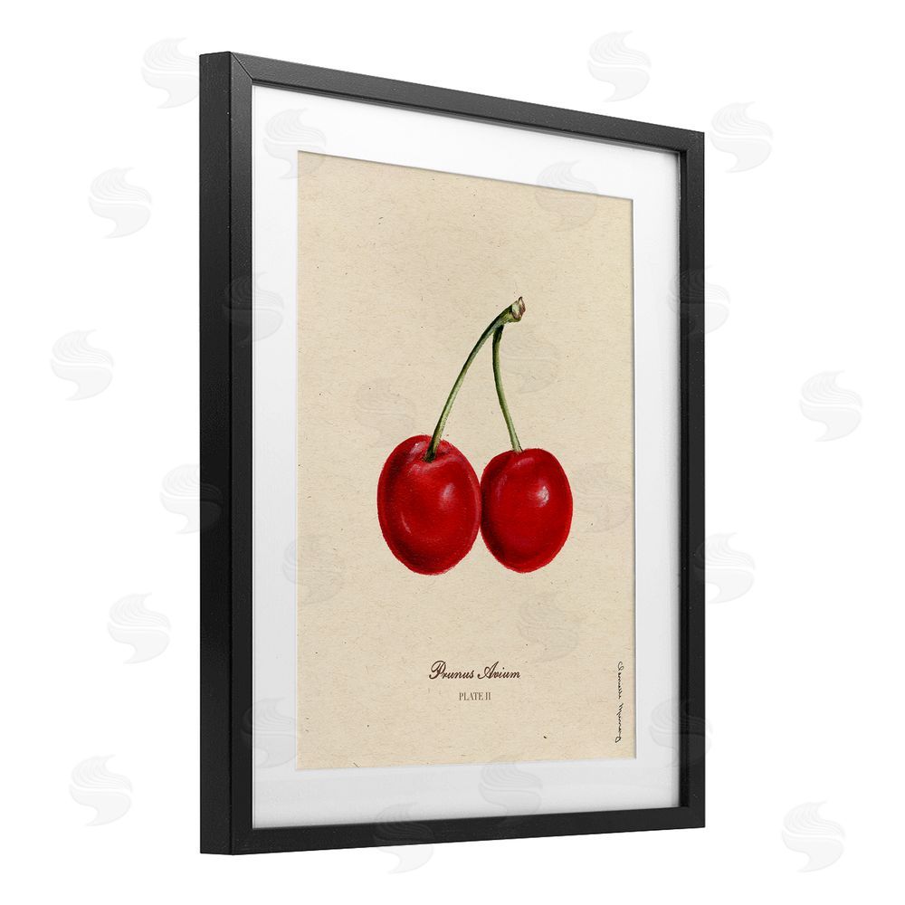 Danielle Murray Cherry Fruit Portrait Black Framed Print Under Glass Wall Art