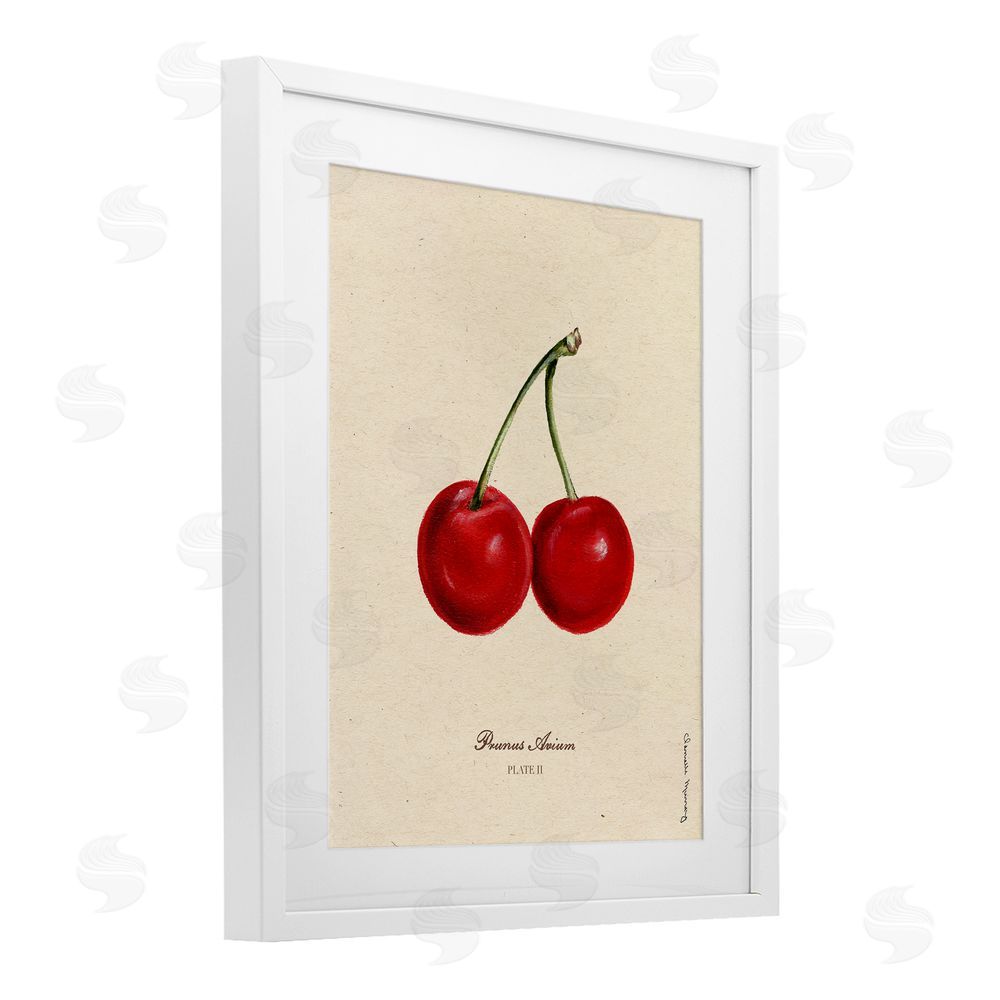 Danielle Murray Cherry Fruit Portrait White Framed Print Under Glass Wall Art