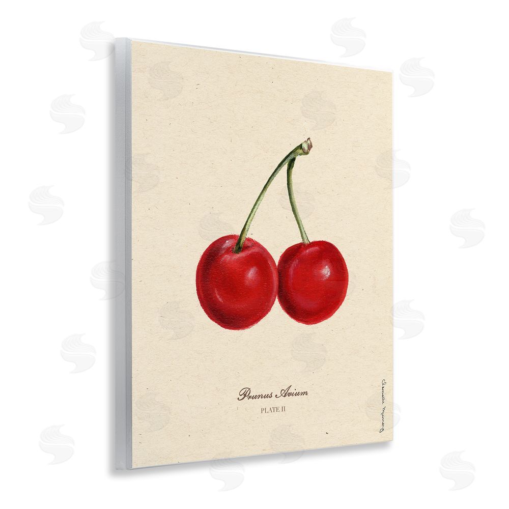 Danielle Murray Cherry Fruit Portrait Wall Plaque Art Print