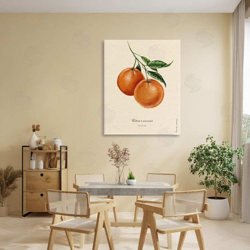 Danielle Murray Orange Fruit Portrait Stretched Canvas Wall Art in Room