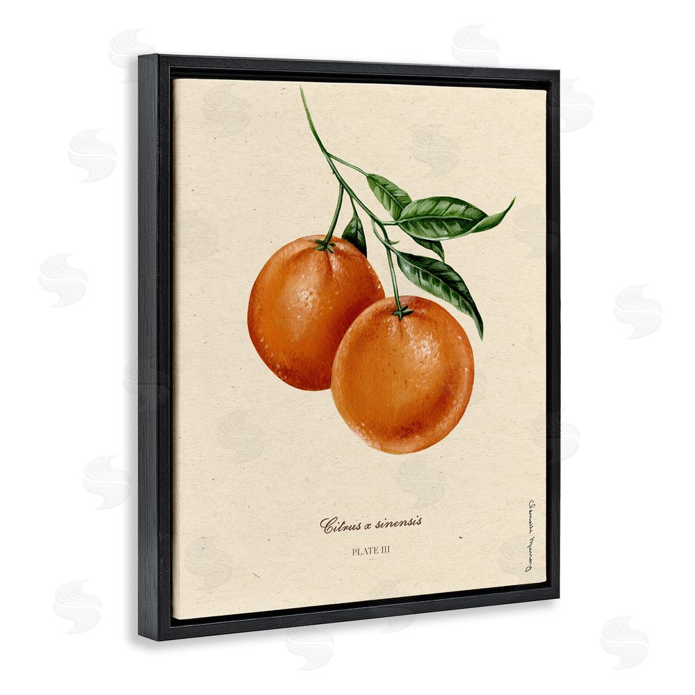 Danielle Murray Orange Fruit Portrait Black Floating Frame Canvas Wall Art Print