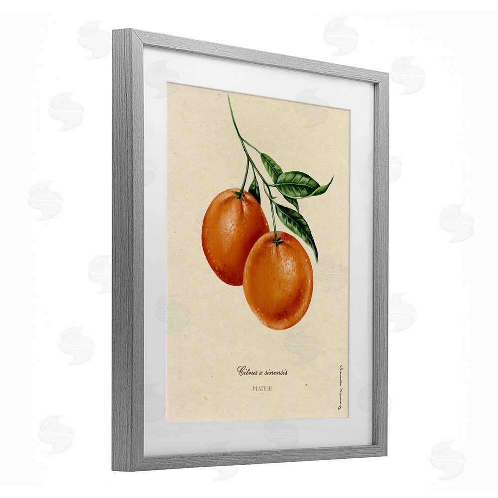 Danielle Murray Orange Fruit Portrait Gray Framed Print Under Glass Wall Art