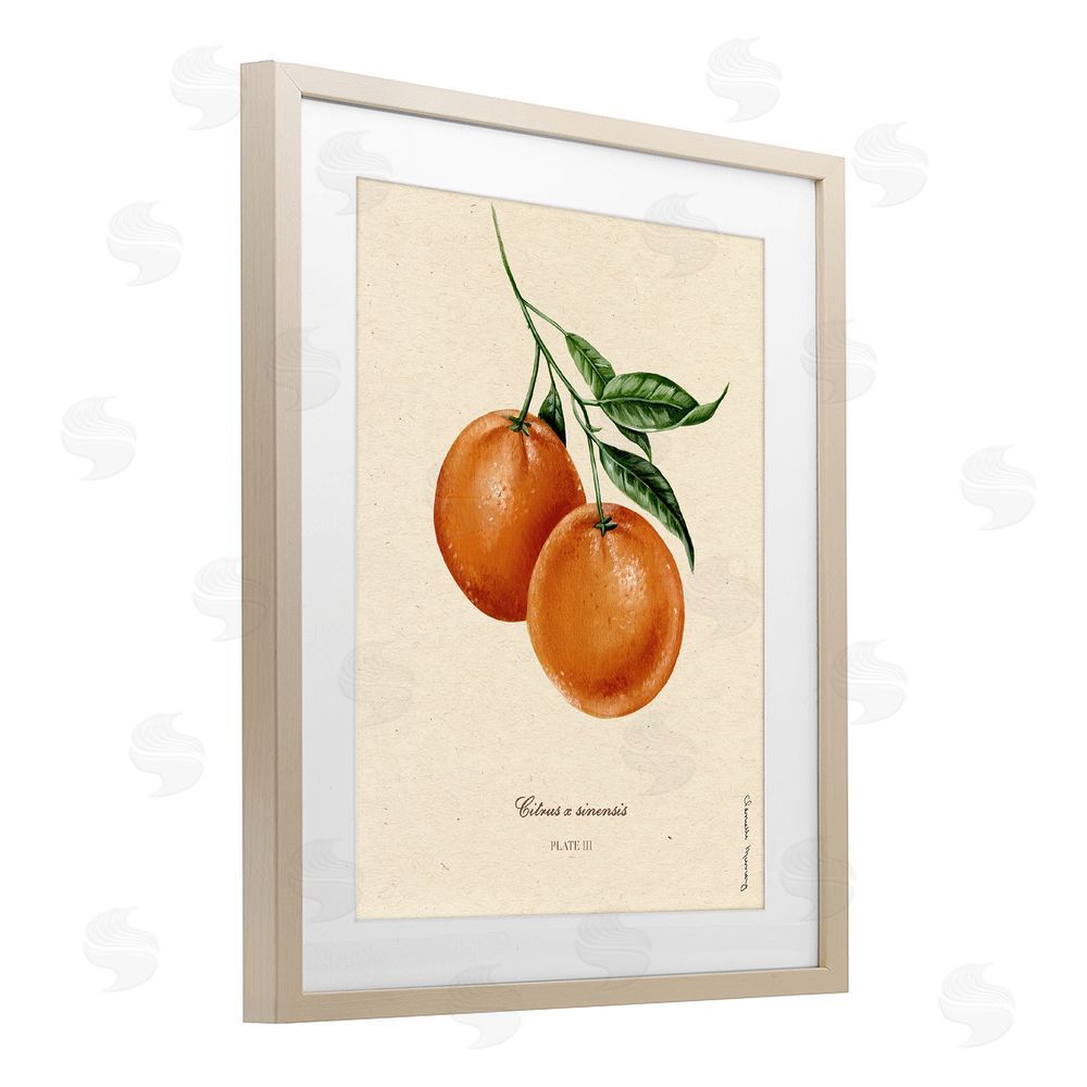 Danielle Murray Orange Fruit Portrait Birch Framed Print Under Glass Wall Art