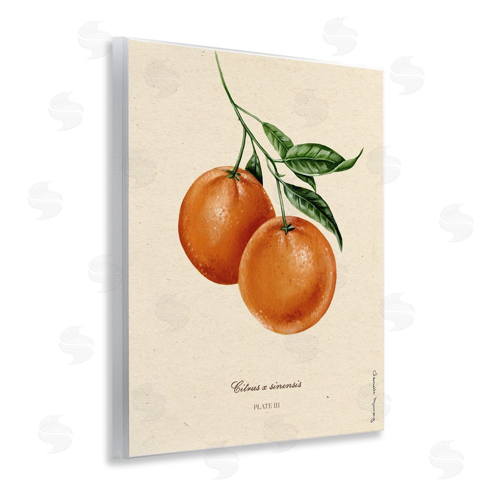 Danielle Murray Orange Fruit Portrait Wall Plaque Art Print