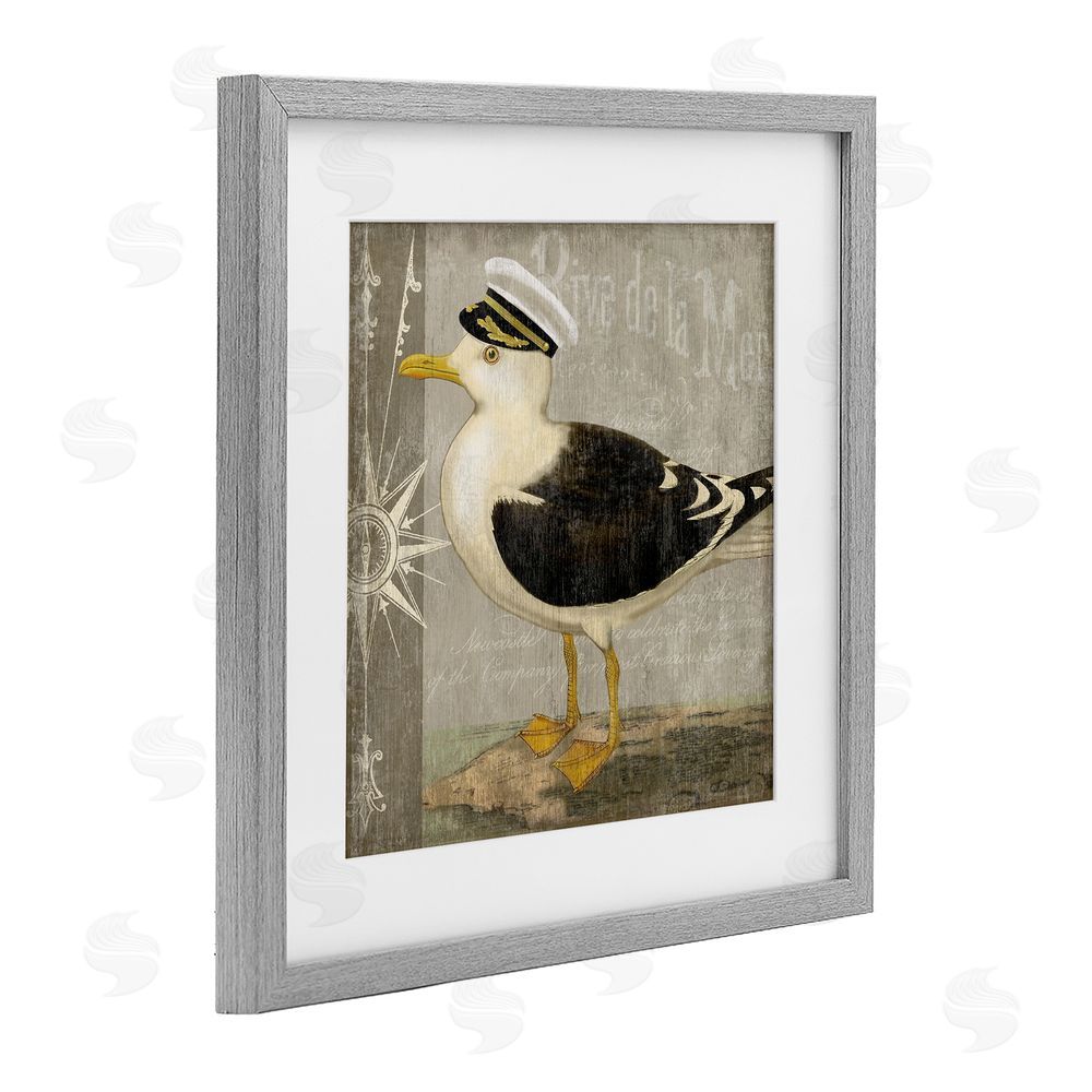 Suzanne Nicoll Little Maritime Seagull Gray Framed Print Under Glass Wall Art