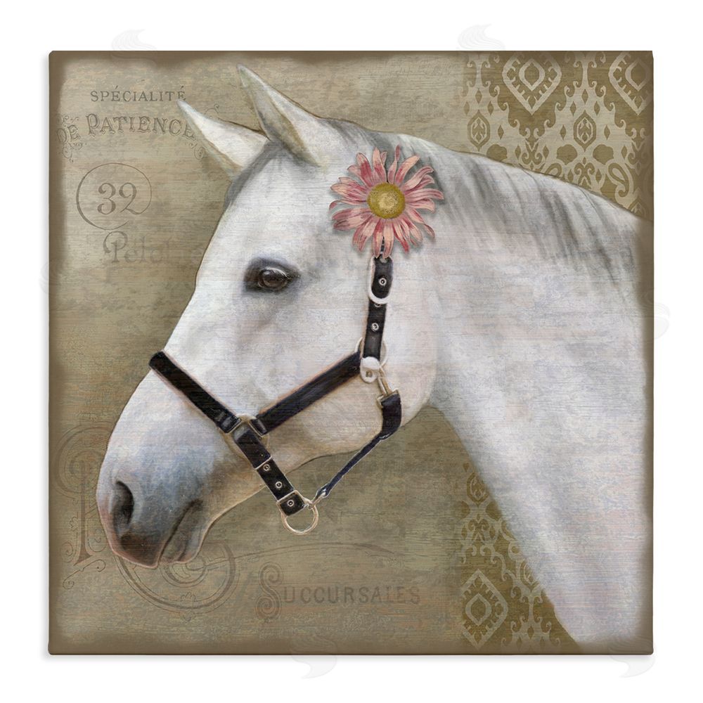 Suzanne Nicoll Boho Barnyard Horse Stretched Canvas Wall Art Print