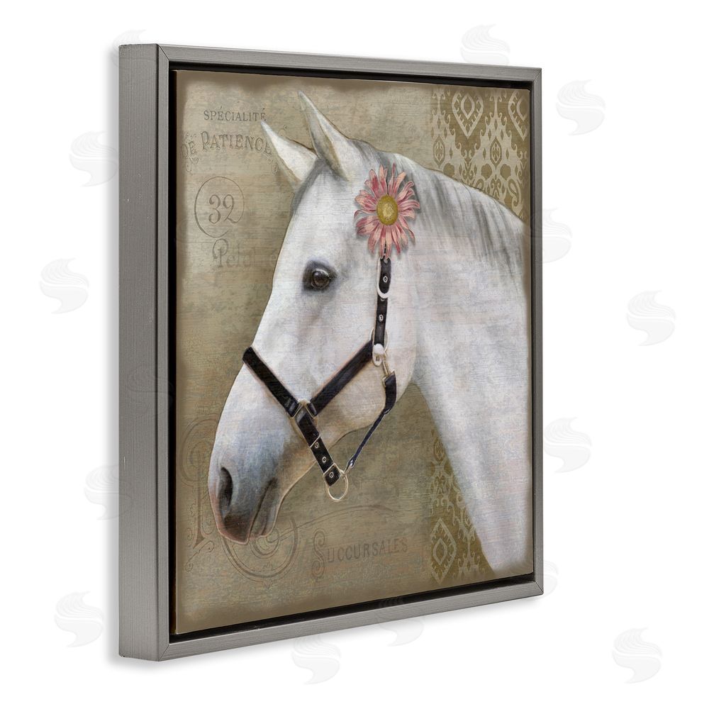 Suzanne Nicoll Boho Barnyard Horse Gray Floating Frame Canvas Wall Art Print