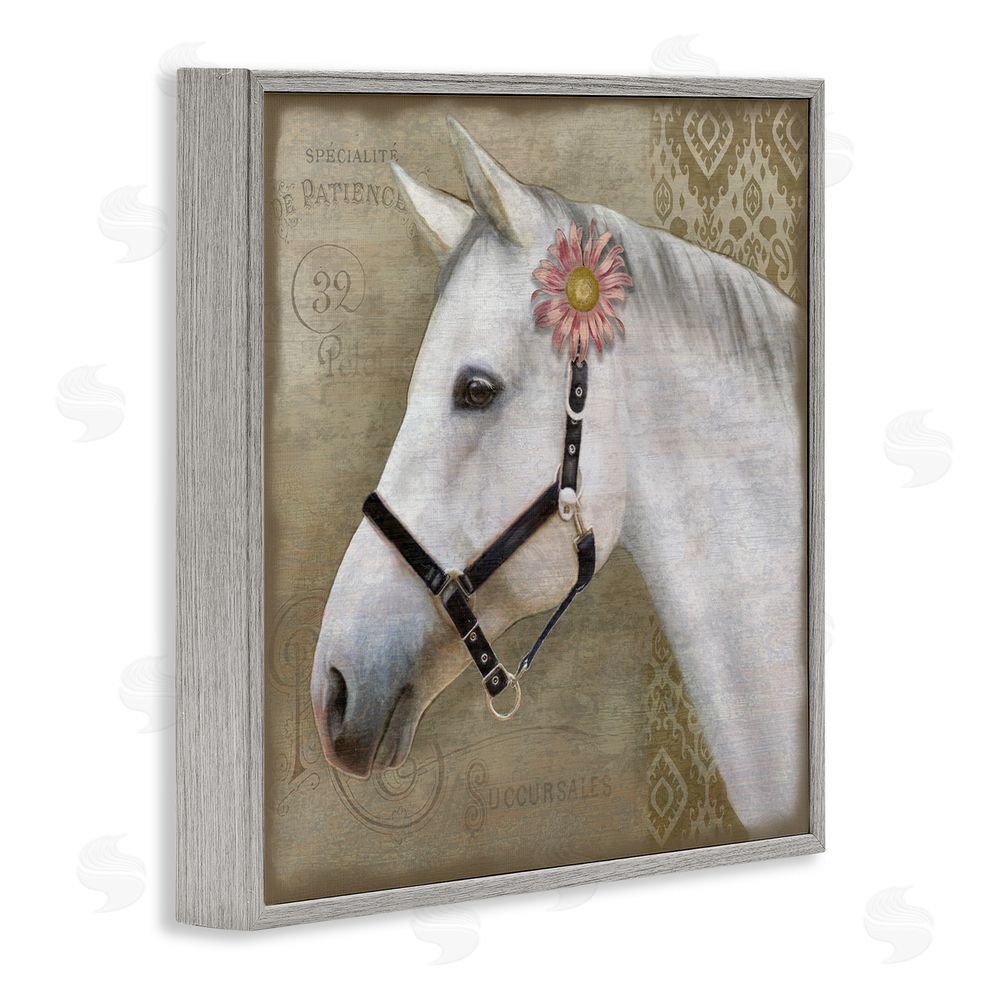Suzanne Nicoll Boho Barnyard Horse Gray Framed Giclee Wall Art Print