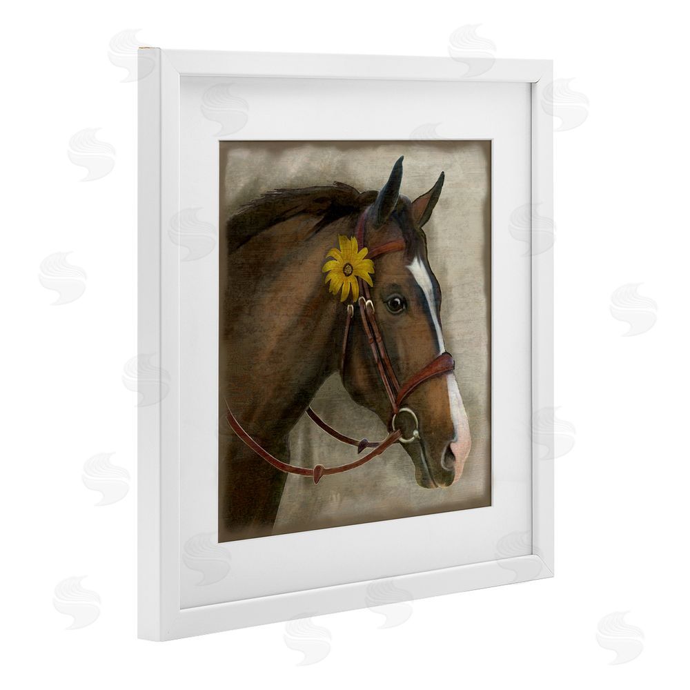 Suzanne Nicoll Barnyard Horse with Daisy White Framed Print Under Glass Wall Art