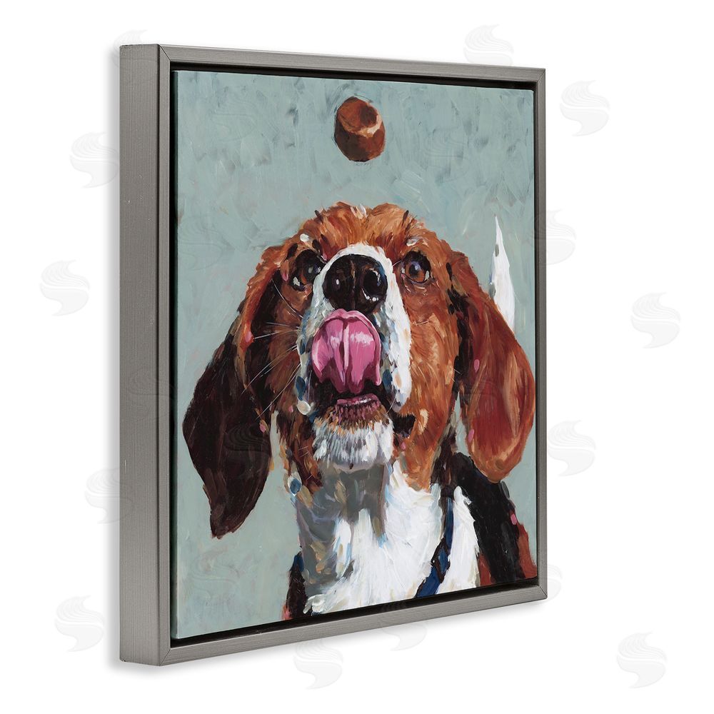 Studio Bautista Beagle Treat Excitement Gray Floating Frame Canvas Wall Art Print