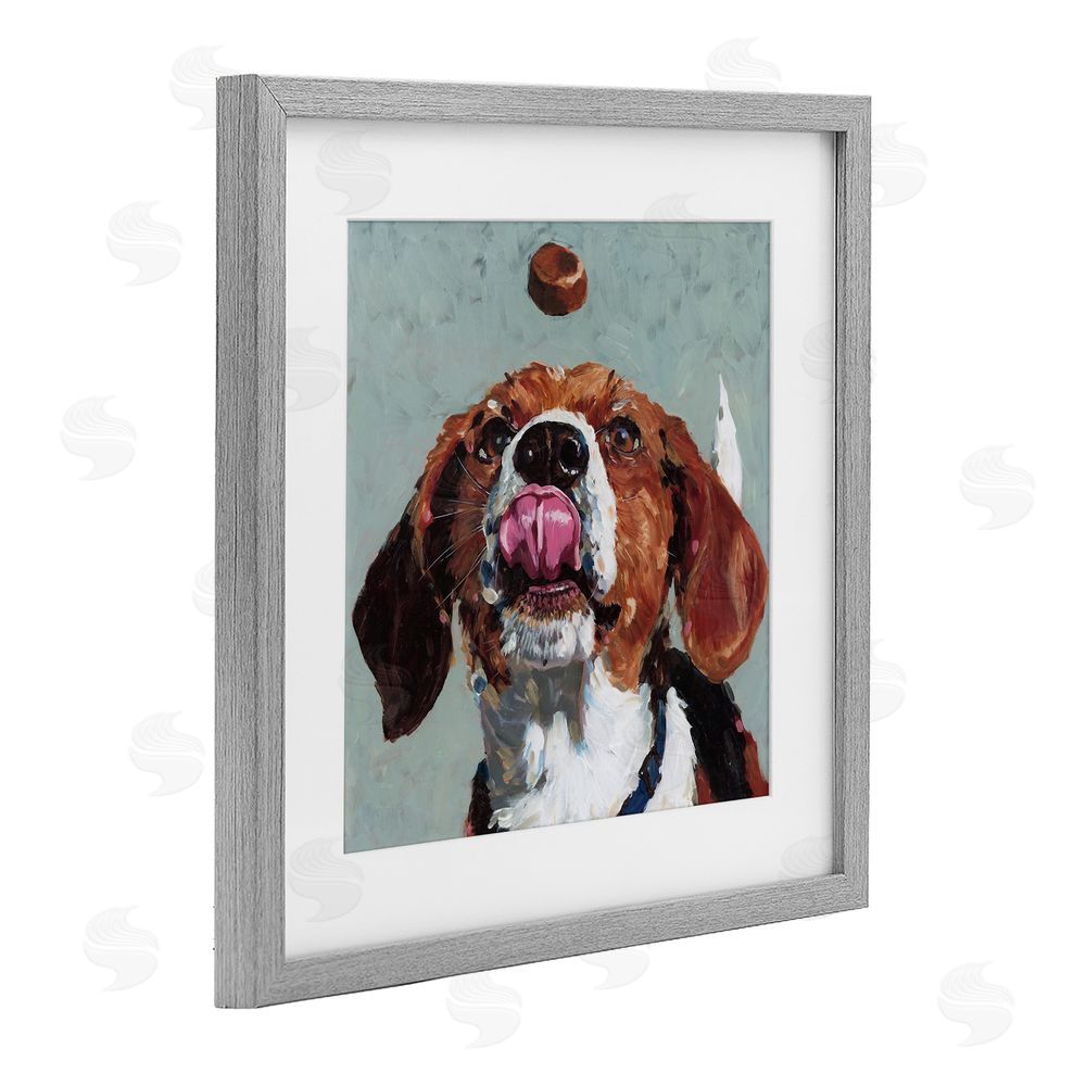 Studio Bautista Beagle Treat Excitement Gray Framed Print Under Glass Wall Art